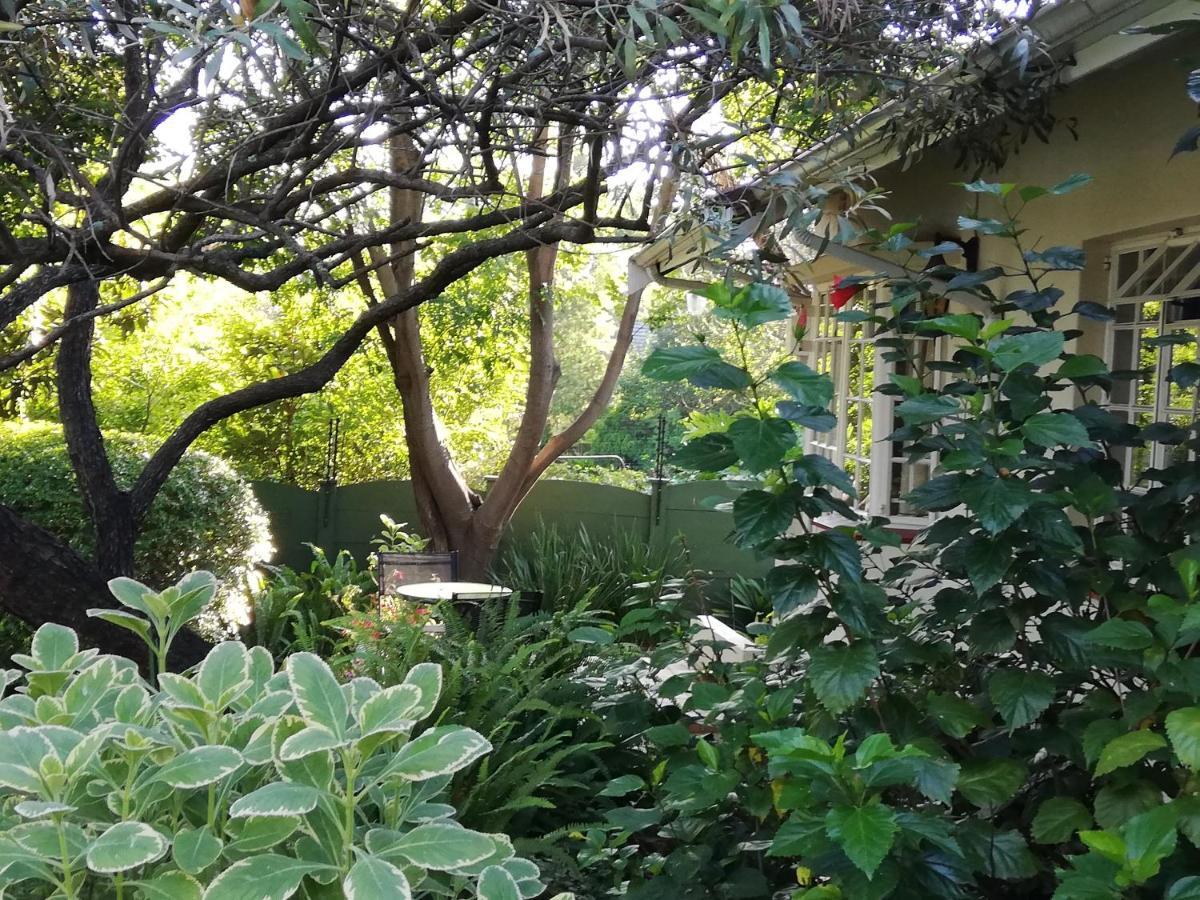 יוהנסבורג Tiree B&B מראה חיצוני תמונה